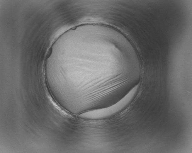 X0000076041382200610201842