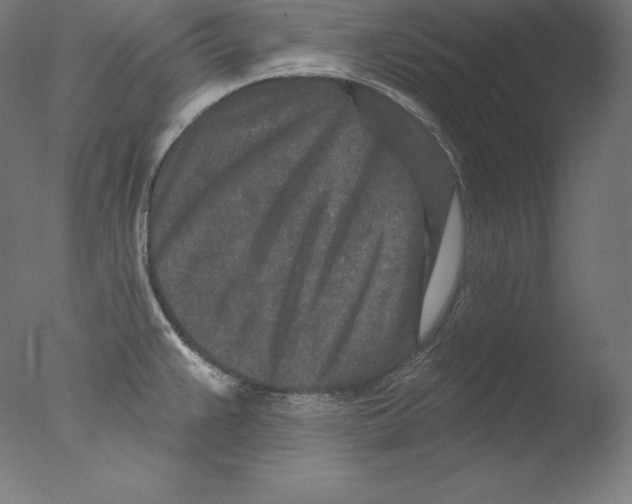 X0000076041383200610201842
