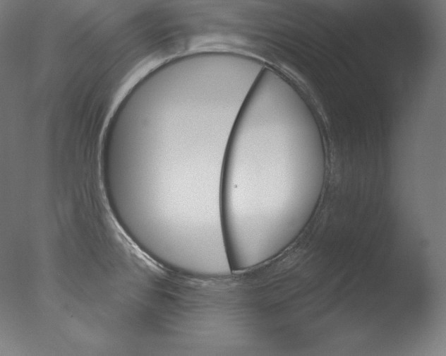 X0000076041384200610201842