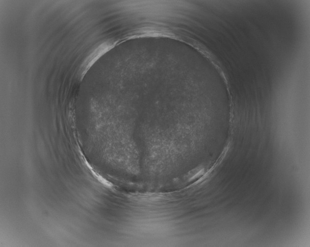 X0000076041385200610201842