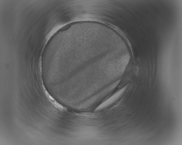 X0000076041388200610201842