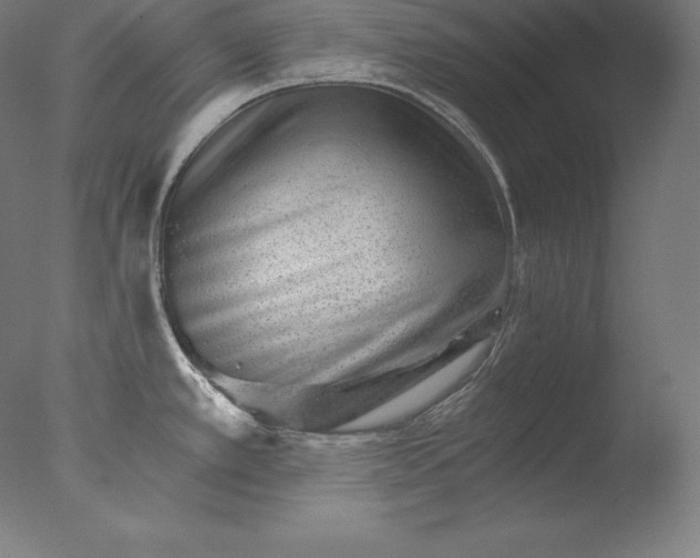 X0000076041389200610201842