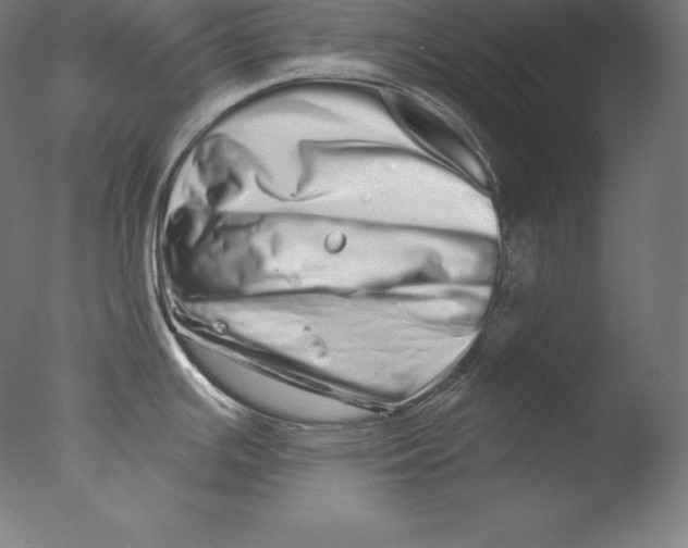 X0000076041391200610201842