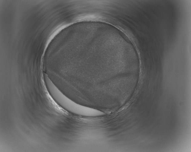 X0000076041392200610201842