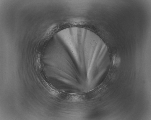 X0000076041396200610201841
