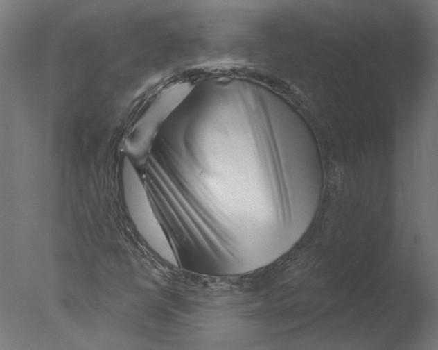 X0000076041398200610201841