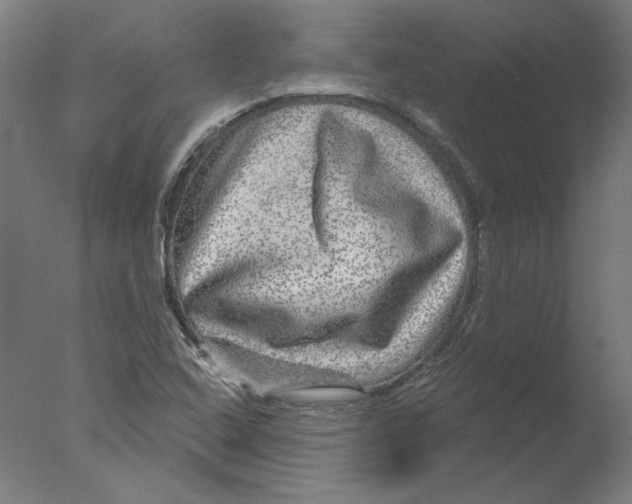 X0000076041408200610201841