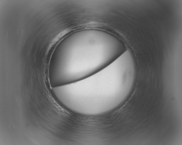 X0000076041410200610201841