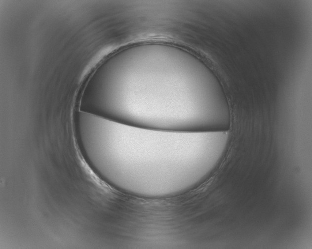 X0000076041422200610201841