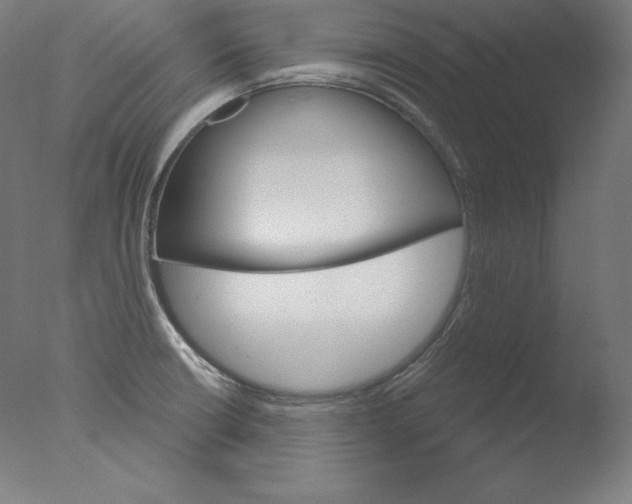 X0000076041426200610201841