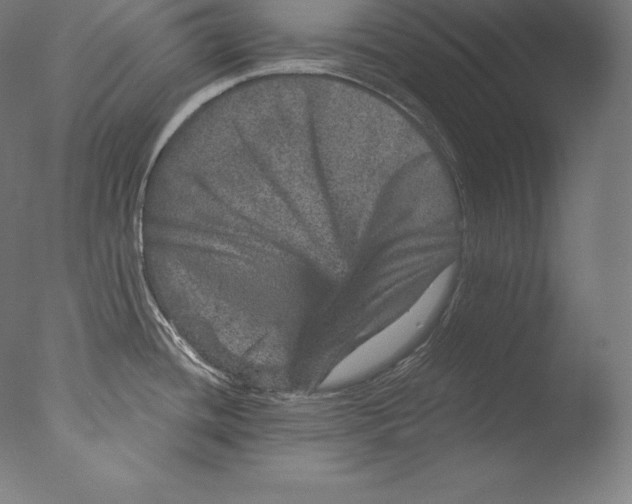 X0000076041436200610201842