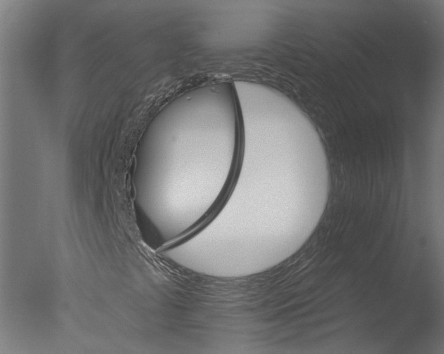 X0000076041441200610201841