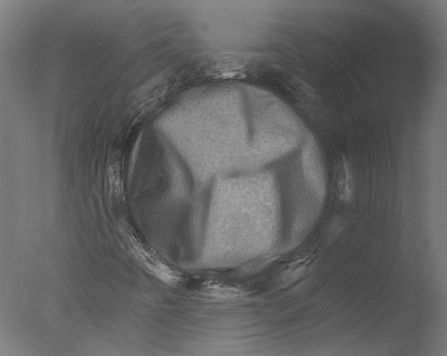 X0000076041442200610201841