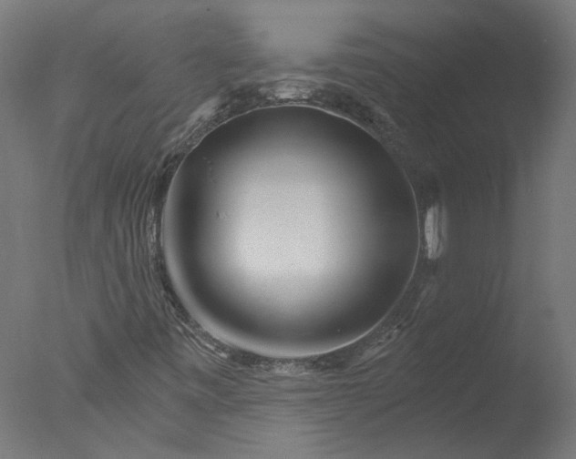 X0000076041443200610201841