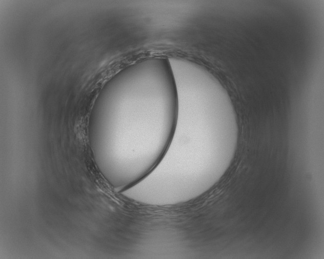 X0000076041445200610201841