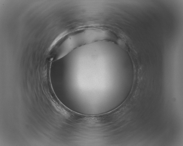 X0000076041450200610201841