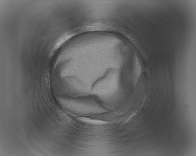 X0000076041453200610201841