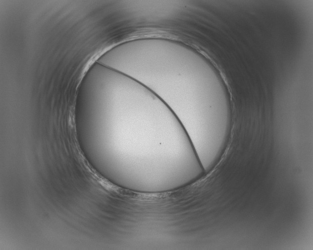 X0000076041481200610201840