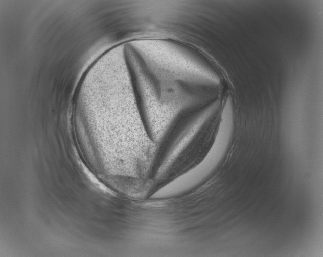X0000076041484200610201840