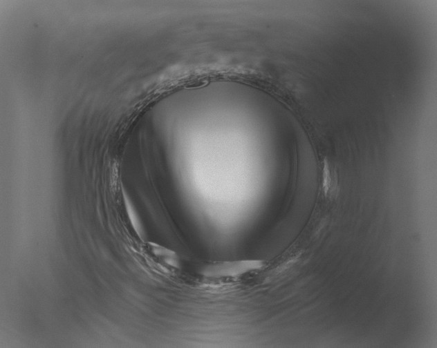 X0000076041492200610201839