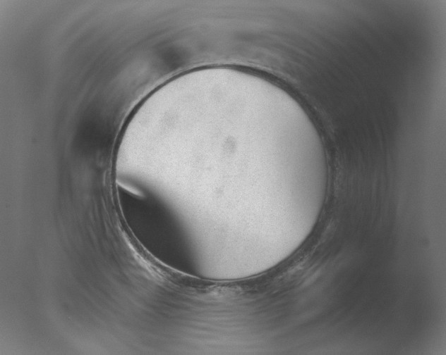 X0000076041513200610201840