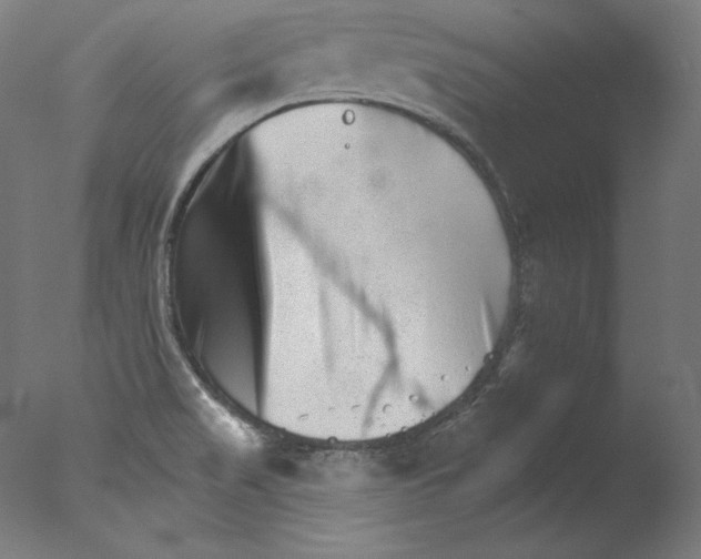 X0000076041517200610201840