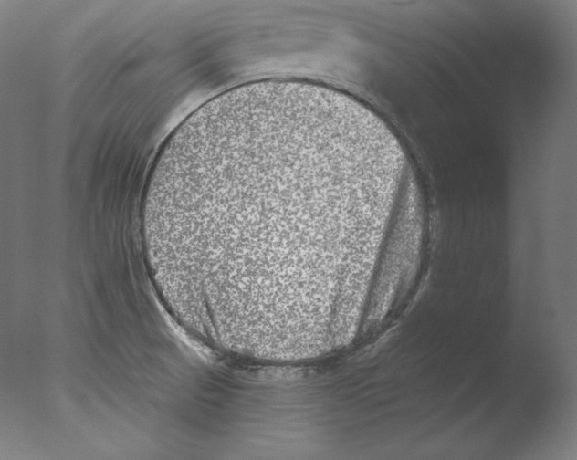 X0000076041521200610201840