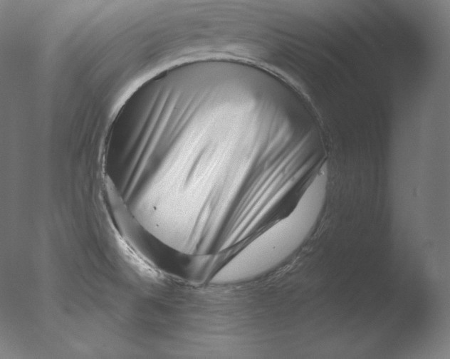 X0000076041524200610201840