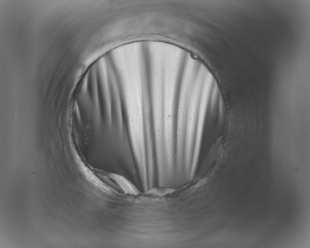 X0000076041526200610201840