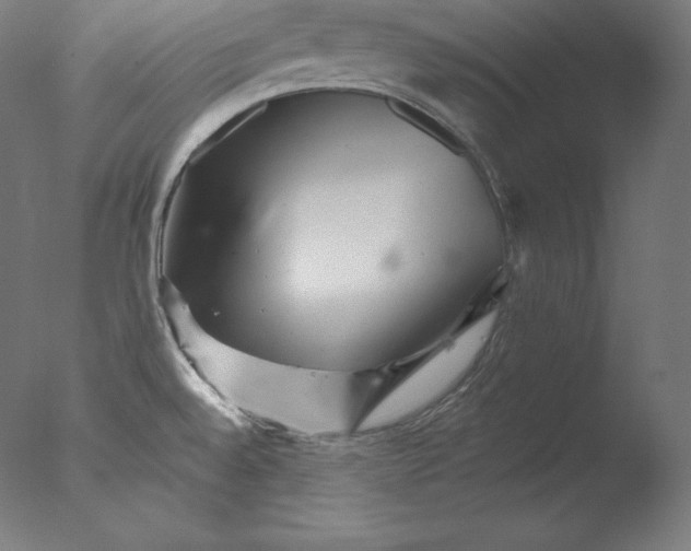 X0000076041528200610201840