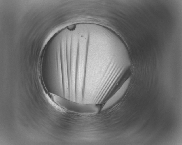 X0000076041531200610201840