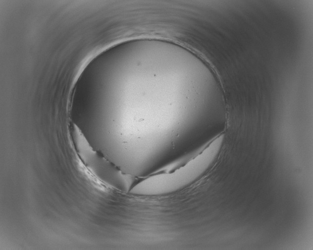 X0000076041532200610201840