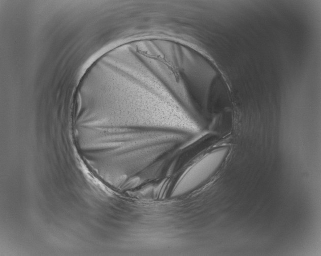X0000076041534200610201840