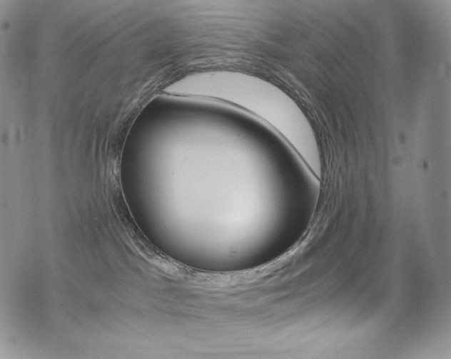 X0000076050045200609220920
