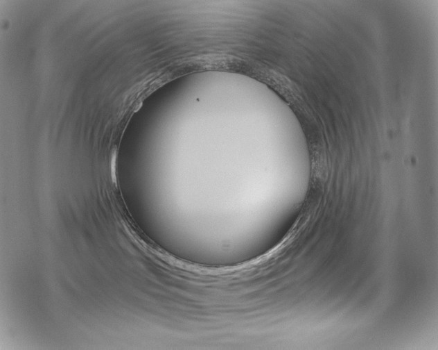 X0000076050047200609220920