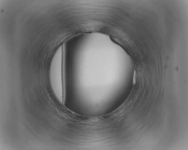 X0000076050076200609220920