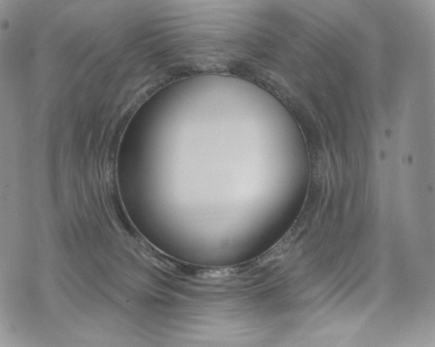 X0000076050084200609220920