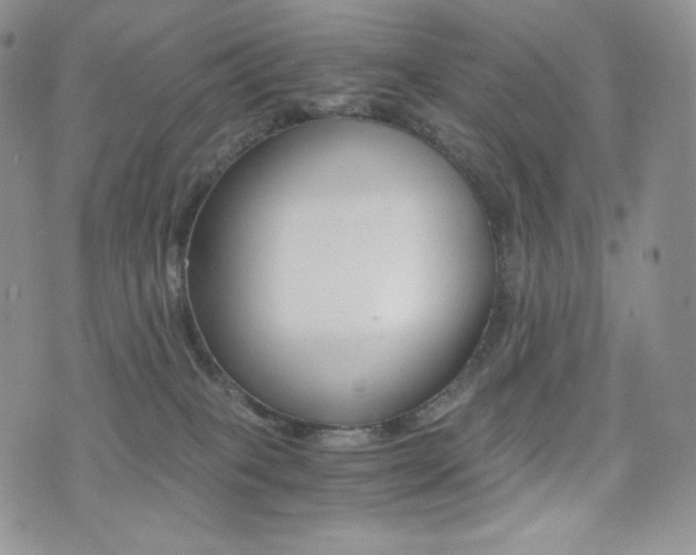 X0000076050085200609220920