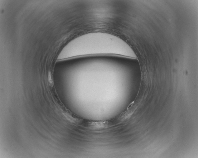 X0000076050089200609220920