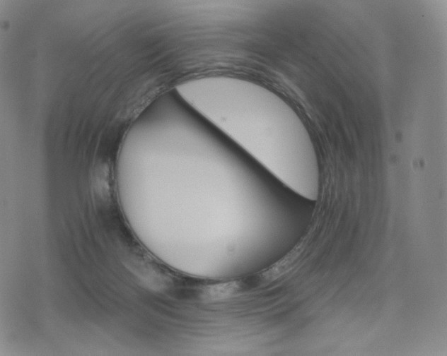 X0000076050122200609220919