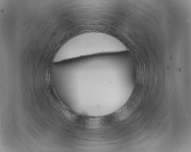 X0000076050134200609220919