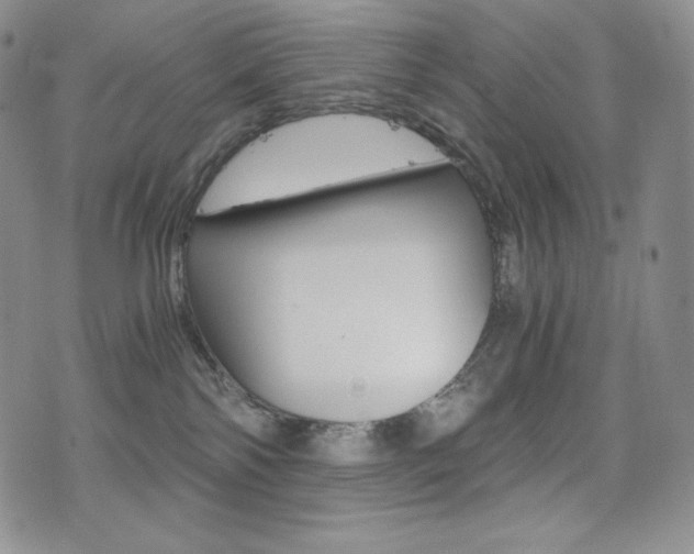 X0000076050138200609220919