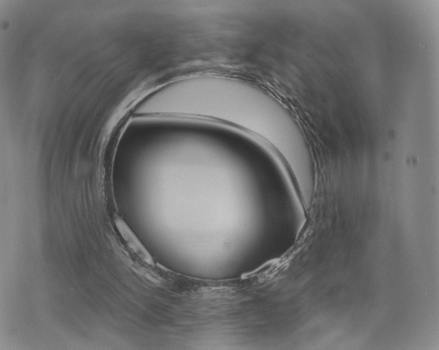 X0000076050150200609220918