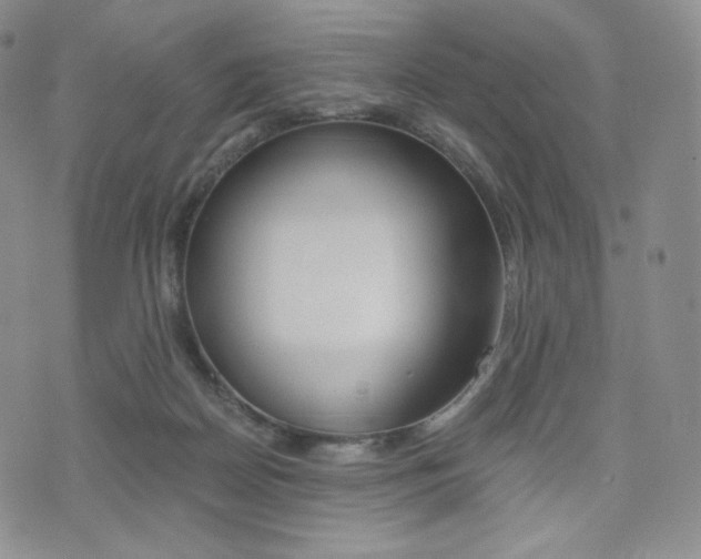 X0000076050170200609220918