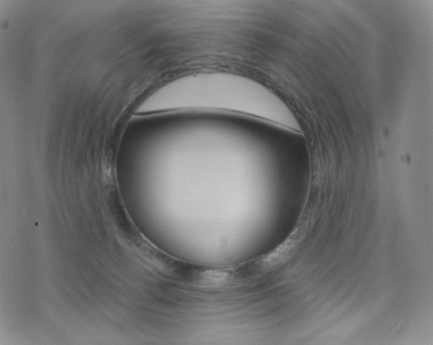 X0000076050176200609220919