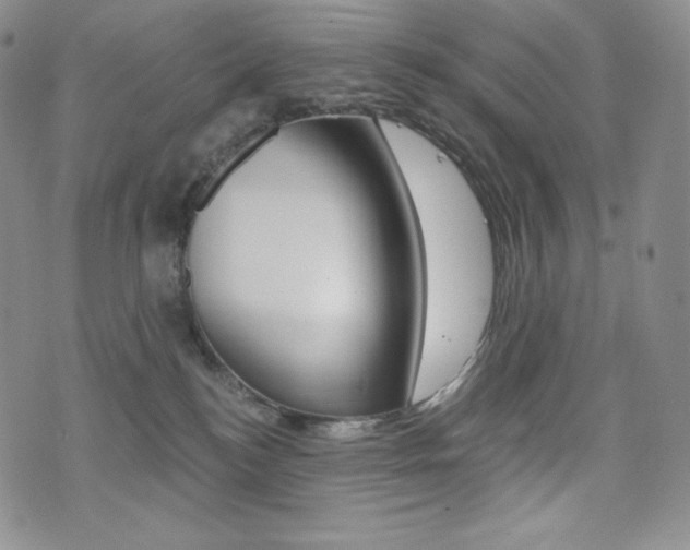 X0000076050184200609220919