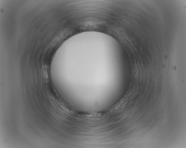 X0000076050232200609220917