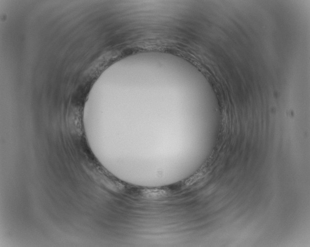 X0000076050234200609220917