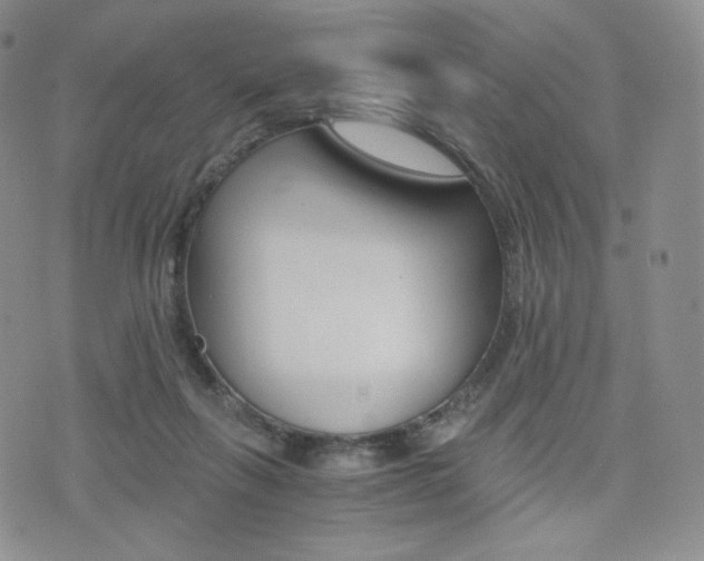 X0000076050263200609220917