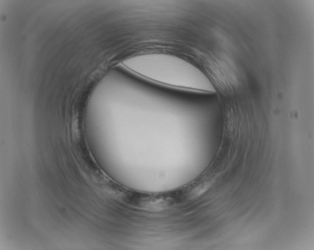 X0000076050267200609220917